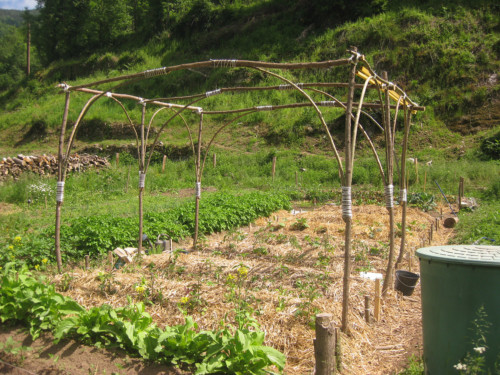 Les jardins partagés